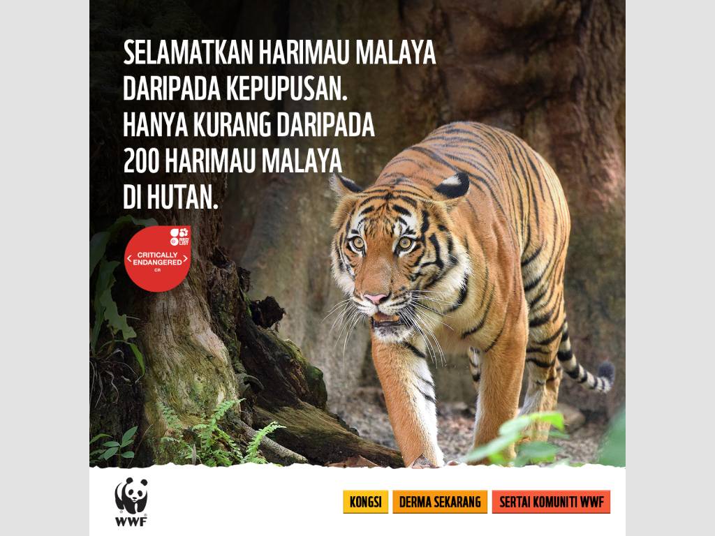WWF donor engagement