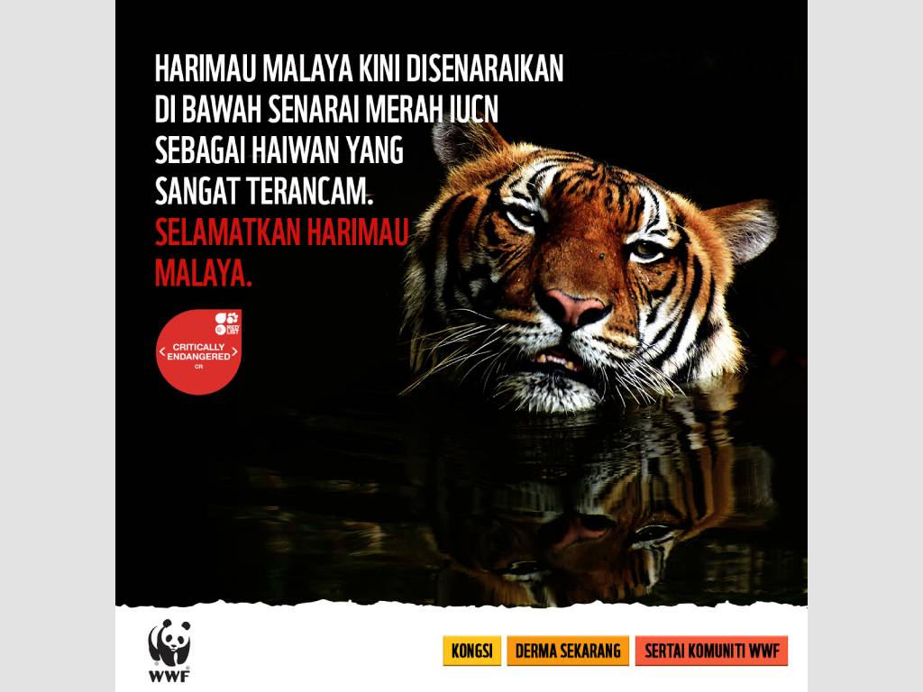 WWF creative assets